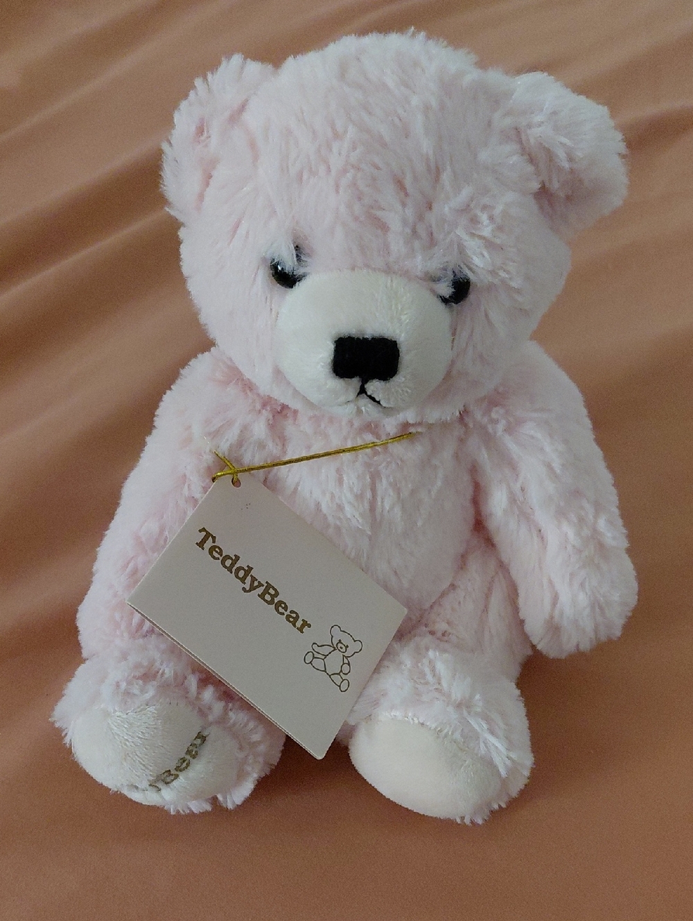 FASBEE Sears Pink Teddy Bear Stuffed Toy